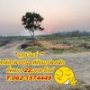 โปรเด็ดปลายปีที่ดินแปลงเล็กราคาเบาหวิวที่คลอง 22.T.062-1574449